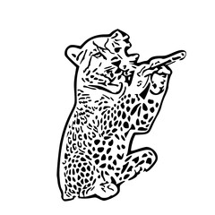 Cool Leopard Line Art SVG – Vector Style Animal Graphic for Print and Design

