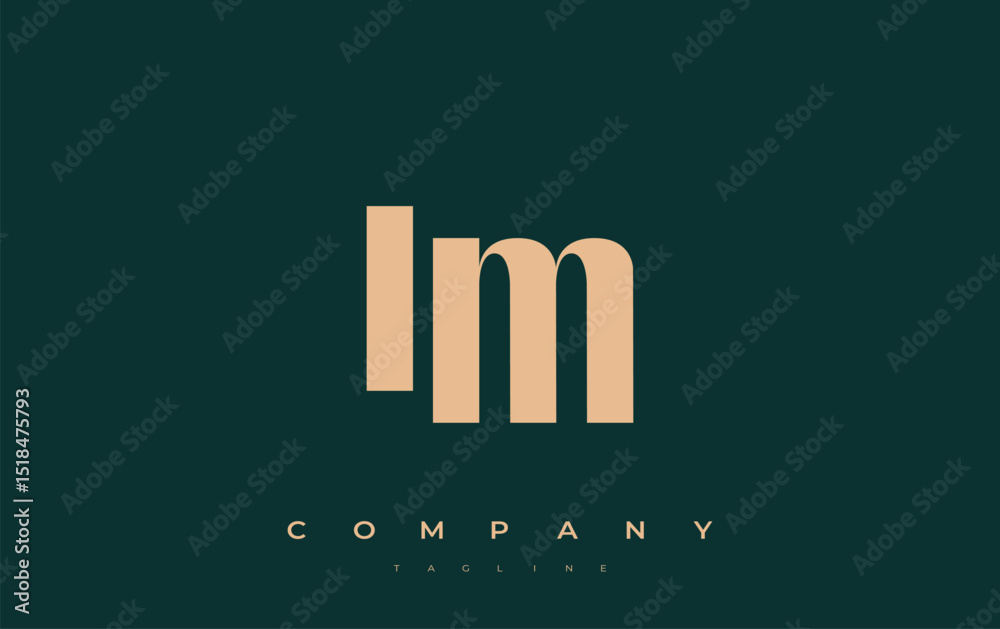 Fototapete im abstract geometric logo design. modern and elegant logo design with simplistic typography element