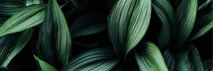 Close-Up of Tropical Green Leaf Background, Flat Lay Fresh Botanical Banner
