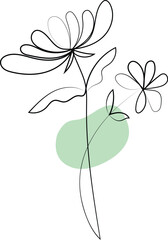 Blooming pink flower vector illustration with green leaves