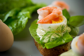 Delicious toast with salad, shrimp and boiled egg