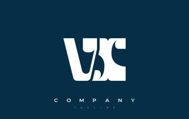 VX Abstract Geometric Logo Design. Modern and elegant logo design with simplistic typography elements, showcasing branding excellence.