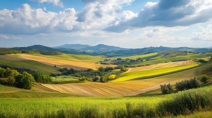 Tuscan Countryside Panorama: Rolling Hills, Golden Fields Under a Summer Sky