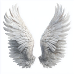Pair of Majestic White Angel Wings , PNG isolated cut out image
