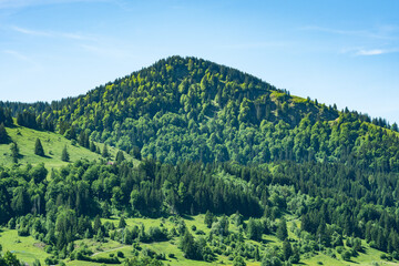 Mountains in bavaria at the lake Grosser Alpsee