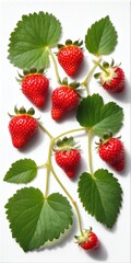 Fresh strawberry fruits on white. Top view, flat lay