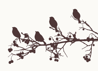 Silhouettes of rowan branches with ripe berries bunches, sparrows birds flock, vector illustration