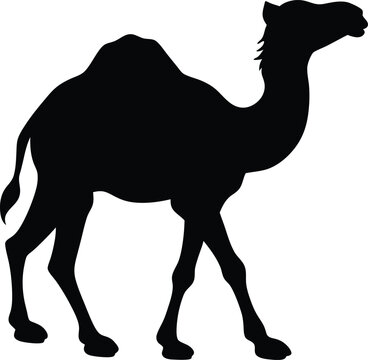 Sudani camel silhouette vector on white background