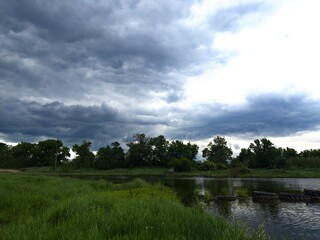 Landscape of a calm pond with vibrant green grass along the shore, trees in the background, and...