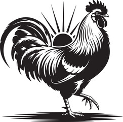 Vector illustration. Black silhouette of a rooster standing on one leg. Isolated on a white background.