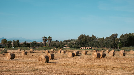 bales of hay