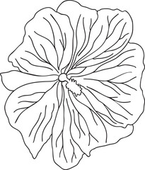 Fototapeta premium Malva plant flower outline hand-drawn illustration in minimalist style. Line art botanical sketch, doodle. Great for wedding decor, invitation, happy birthday cards, textile design, colouring books