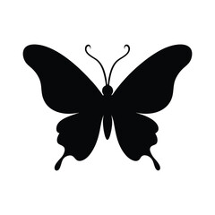 butterfly vector illustration