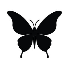 butterfly vector illustration