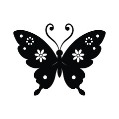 butterfly on white background