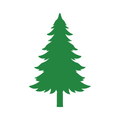 christmas tree isolated on white