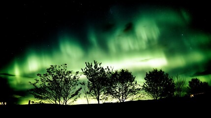 Green Aurora over silhouetted trees