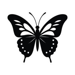 butterfly vector illustration