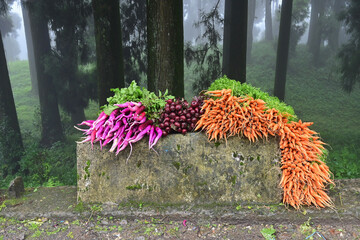 Mules, Beets and carrots , vegetables are being sold at roadside market, Darjeeling, West Bengal,...