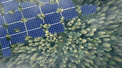 Solar panels installed in the green forest Clean alternative energy concept. Environment, solar...
