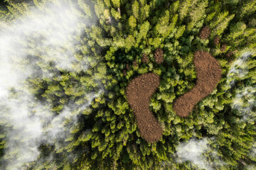 A man leaves a trail. Negative impact on nature and ecology. Forest cutting. Harm the environment....