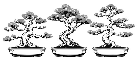 Eastern White Pine Bonsai Stippled Layout
