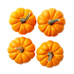  pumpkins
