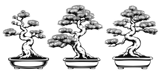 Scots Pine Bonsai Ink Composition Style