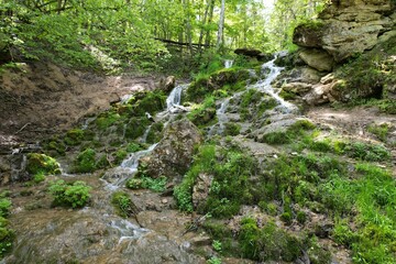 waterfall in the forest