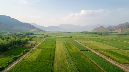 Obraz premium Expansive agricultural landscape with green fields and mountains 