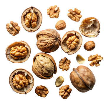 Delicious walnuts and kernels scattered on a smooth black backdrop for healthy food concepts