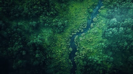 A dramatic aerial view of a winding river valley lined with restored wetlands and native flora