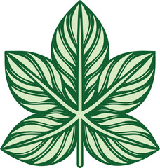 Elegant Green Leaf Illustration with Intricate Veins Isolated on White Background Suitable for Botanical Designs and Nature Inspired Creative Projects and Eco Friendly Designs