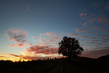 Solitary tree stands silhouette against sunset, with vibrant pink and orange clouds scattered across sky. Serene and picturesque landscape. Peaceful evening scene evokes sense of calm and tranquility.