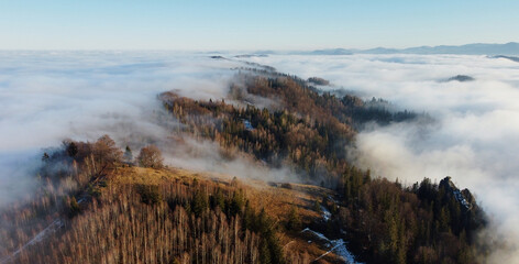 Mesmerizing aerial view of forested ridge shrouded in sea of clouds, with trees just peeking through mist. Landscape extends into distance, showcasing serene and ethereal beauty of nature.