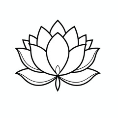 lotus flower vector
