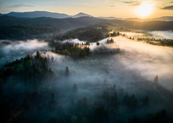 Aerial view of breathtaking sunrise over misty landscape with rolling hills and verdant fields. Soft light pierces through fog, casting long shadows and illuminating trees, creating magical scene.