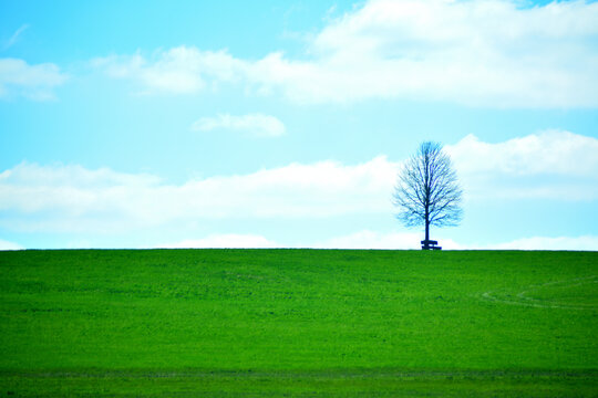 himmel, gras, feld, landschaft, green, wiese, natur, cloud, blau, sommer, fr&uuml;hling, horizont, baum, sonne, b&auml;uerlich, ackerbau, lawn, bauernhof, jahreszeit, erdboden, gegend, gr&auml;ser, hills, wolkengebi