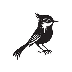 crow on a branch