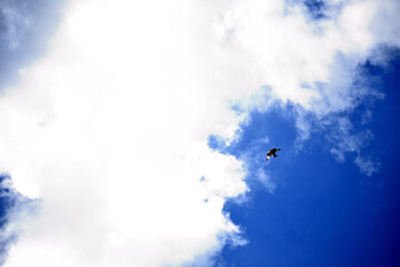 himmel, cloud, fliegender, flieger, flugzeug, fliege, luft, fliegen, bird, natur, avion, düsenflieger, blau, sonne, anreisen, weiß, helikopter, sommer © Владимир Тильки