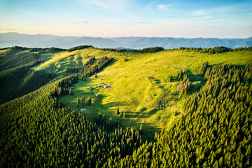 Aerial view of mountain hills covered pine forest.