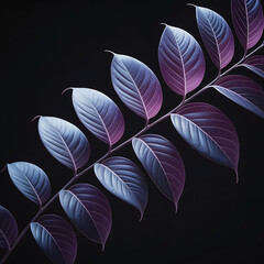 Stunning image of a branch with vibrant purple and blue leaves against black.