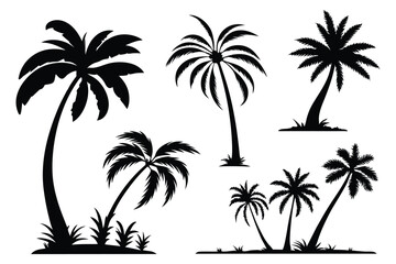 Set of tropical palm tree silhouettes – summer vacation and beach design elements