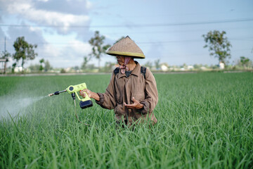 A senior male farmer spraying pesticide on rice green field. Protect rice field from plant pests. Elder working at nature.