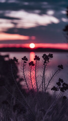 Stunning sunset over the lake, with silhouetted plants in the foreground.