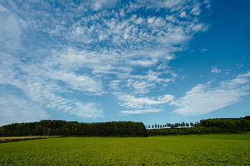 Cloudy sky