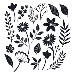 Decorative floral and botanical elements collection in black and white for design projects