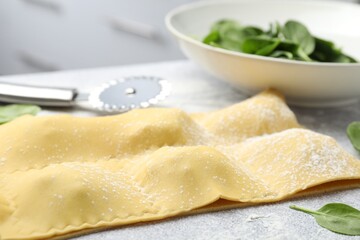 Uncooked ravioli and spinach on light table, closeup