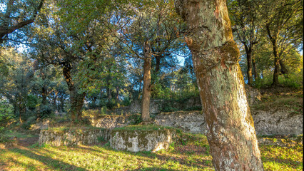 Villa Doria Pamphili park in beautiful town of Albano Laziale timelapse hyperlapse, Italy