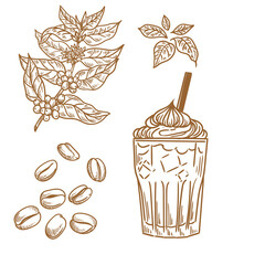 Set of vintage coffee illustrations hand-drawn in ink. Original drawings of coffee, a coffee plant, and coffee beans.